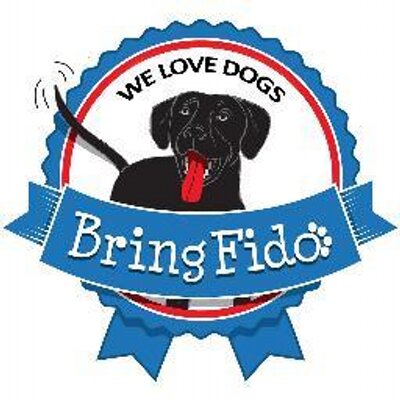 Traveling with Your Dog? Check Out the BringFido App ...